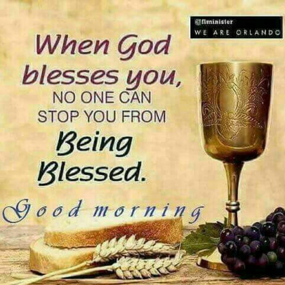 Meet your Posher, Marie